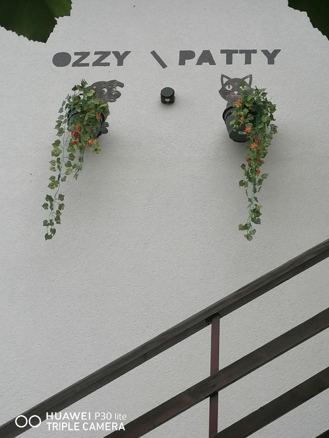 Hotel Casa Ozzy&Patty Două Mai Exterior foto